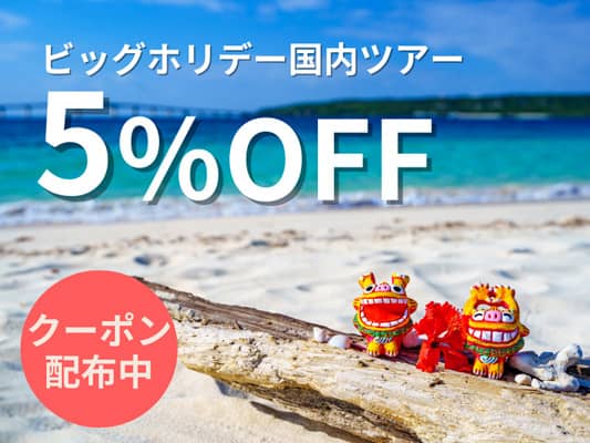 イオンマークのカード優待特典！ビッグホリデーツアー5％割引クーポンコード