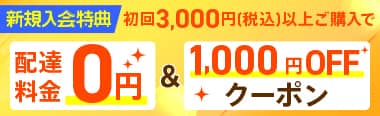 イトーヨーカドーネットスーパー 初回限定特典 配達料金無料＆1,000円OFFクーポン