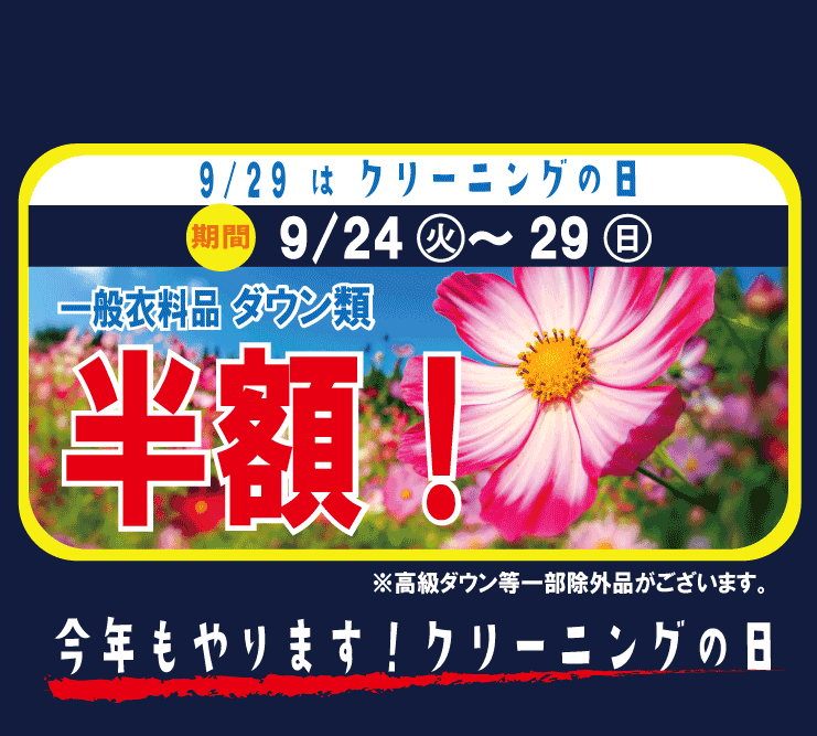 東京エリアのホワイト急便 一般衣料品 ダウン類 半額セール