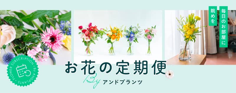 お花の定期便 by アンドプランツ