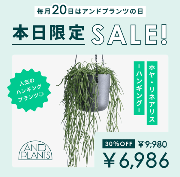 毎月20日はアンドプランツの日