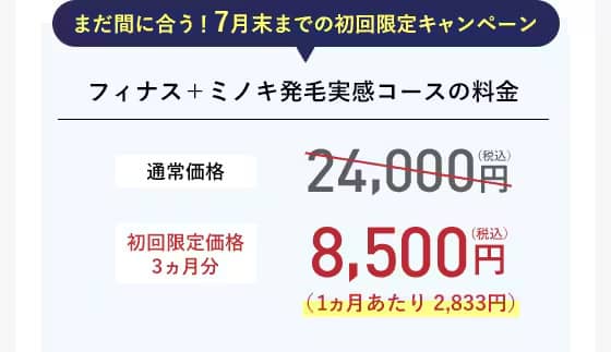 湘南のAGA治療 フィナス＋ミノキ発毛実感コースの料金