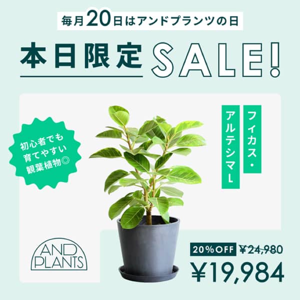 毎月20日はアンドプランツの日