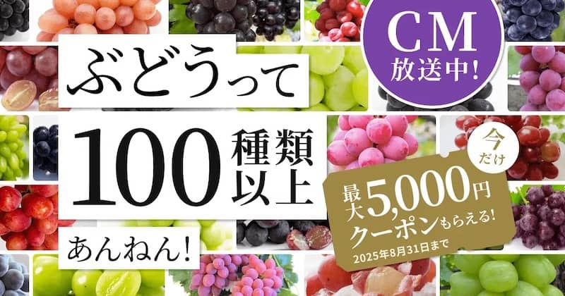 ぶどうって100種類以上あんねん！食べチョクで最大5,000円分クーポンもらえる
