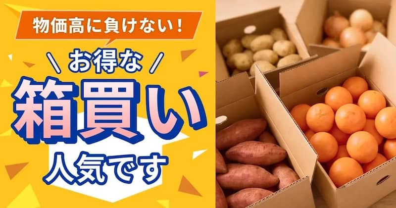 物価高に負けない！お得な箱買い